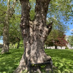 King's Inn Park