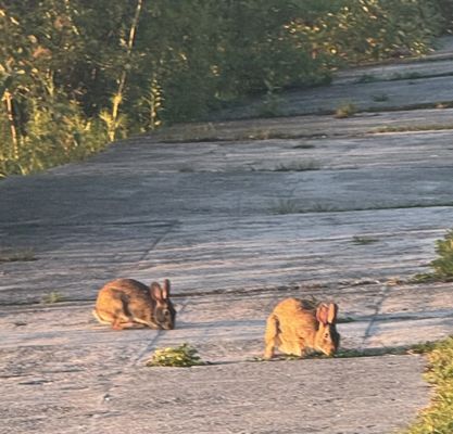 Mission Point by null