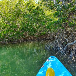 Marathon Kayak - An excellent day in the FL Keys Mangroves