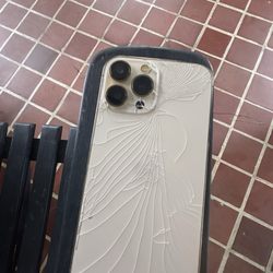 Gurosik's Berry Plantation - Yet another view of damaged phone