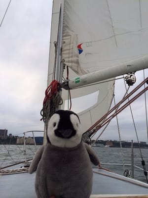 Hudson River Community Sailing by null