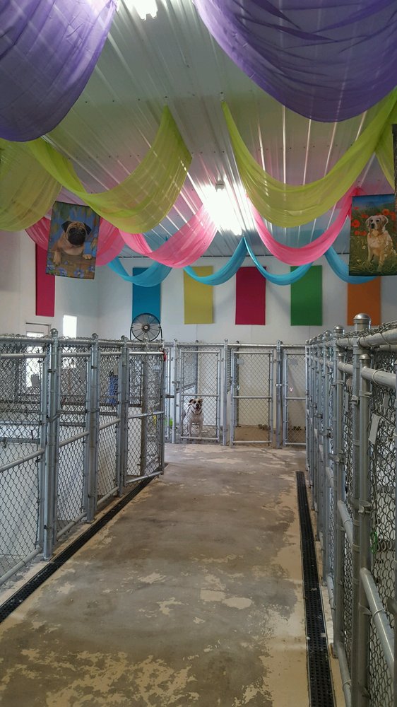 FIVE STAR PET BOARDING Updated October 2024 25309 Us244, Fort