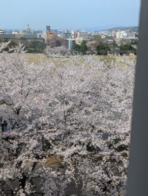 Kanazawa Castle Park by null