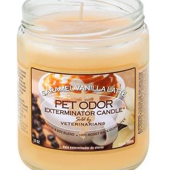 Green Dog Grooming - They are back! Come get your Vanilla Caramel Latte odor eliminator candle before they are gone! - Pet Groomers Near Me - Kent, Washington Green Dog Grooming - They are back! Come get your Vanilla Caramel Latte odor eliminator candle before they are gone! - Pet Groomers Near Me - Kent, Washington