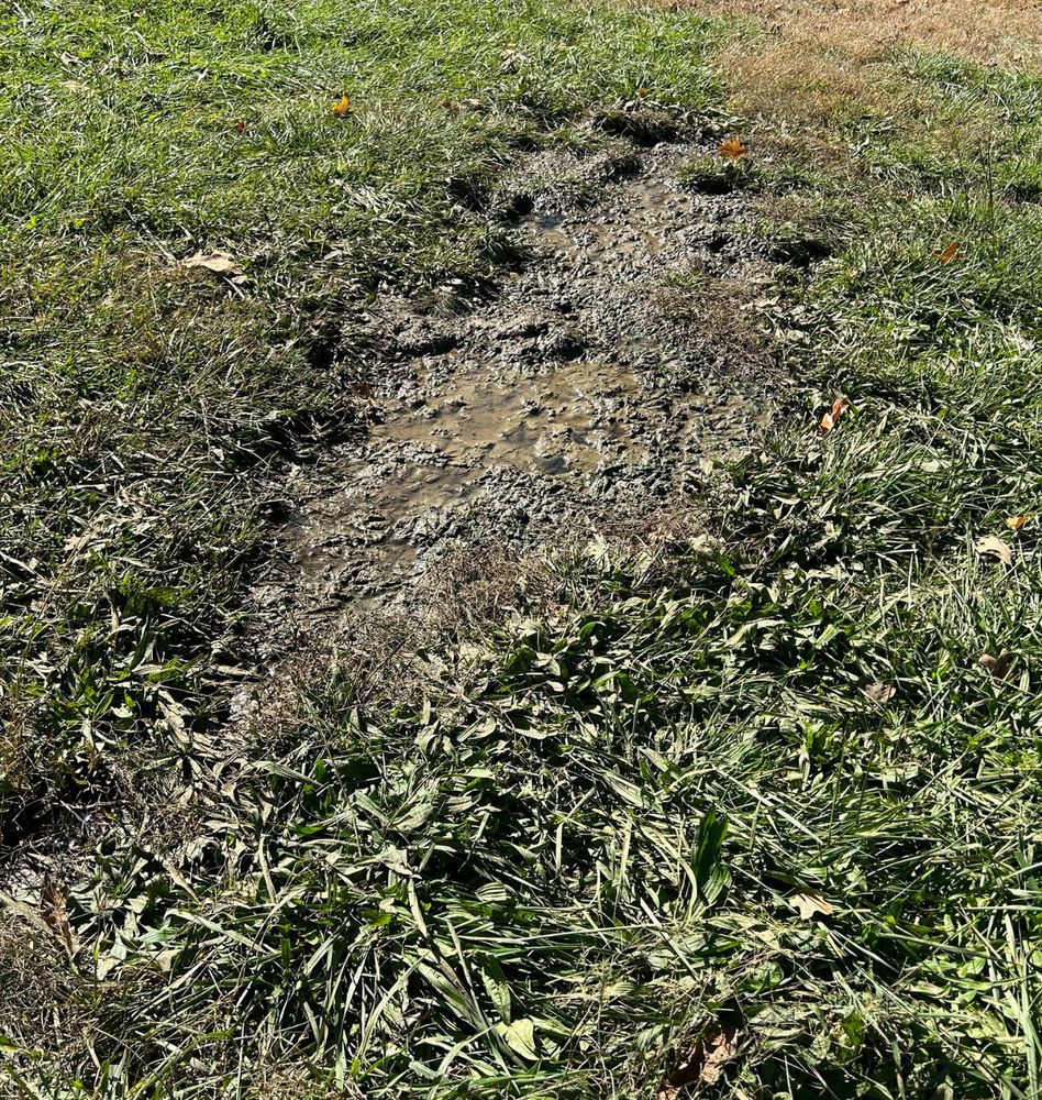 Slide of All Type Plumbing