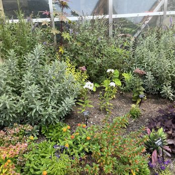 Creation Museum - Gardens are beautiful. Museum is very interesting. - Museums Near Me - Petersburg, Kentucky