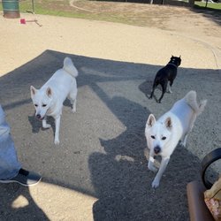 Westwoof Dog Park