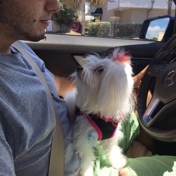 Natural K9 - Pet Stores Near Me - South Miami, Florida Natural K9 - Pet Stores Near Me - South Miami, Florida