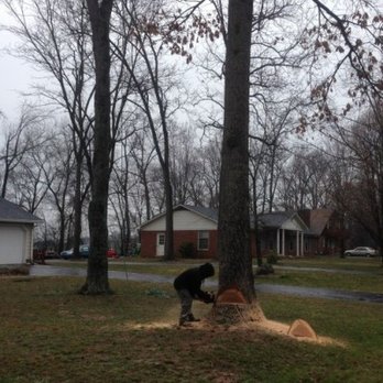 BG Treeman - Tree Services Near Me - Bowling Green, Kentucky BG Treeman - Tree Services Near Me - Bowling Green, Kentucky