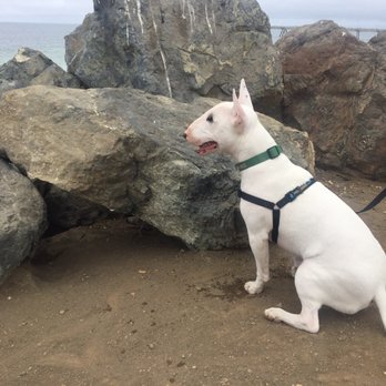 Mori Point - Hiking Near Me - Pacifica, California