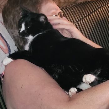 PetSmart - Momma getting some shoulder lovins from our daughter, Boo Boo  Mommy and Daddy loves you so so much. Such a good loving seety Girl. - Pet Groomers Near Me - Dawsonville, Georgia