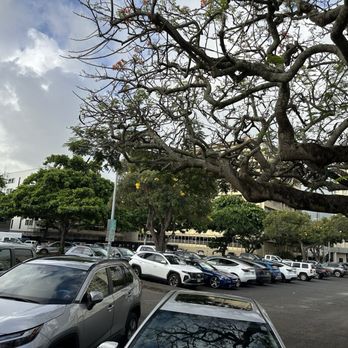 Cinnamon's Restaurant - Parking lot. Fills up fast and is metered parking. As of May 2026, it's about $0.75 for 1 hour of parking. - Pancakes Near Me - Kailua, Hawaii Cinnamon's Restaurant - Parking lot. Fills up fast and is metered parking. As of May 2026, it's about $0.75 for 1 hour of parking. - Pancakes Near Me - Kailua, Hawaii