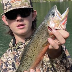 Big trout