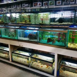 mcfaith pet store