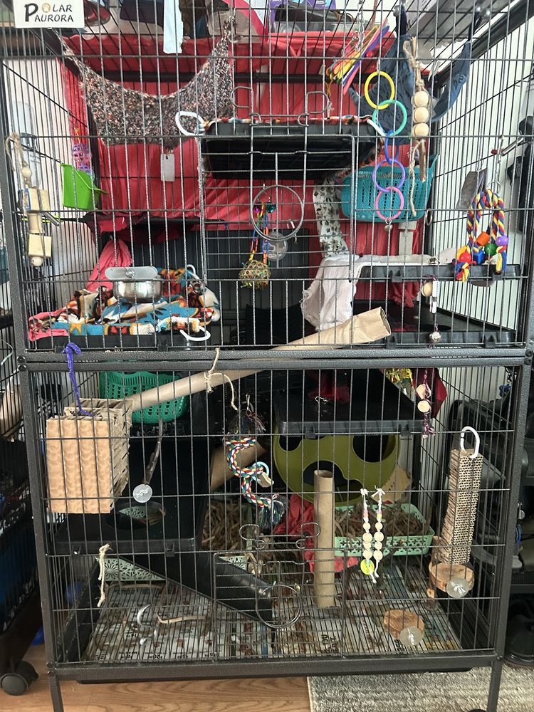 Rattyry THE RATTERY - Updated June 2026 - Request Information - 795 Nassau Way ...