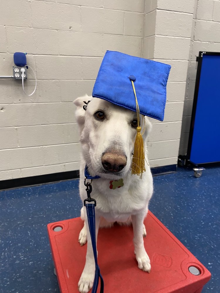 LEASH FREE LIVING Updated September 2024 16 Photos & 22 Reviews