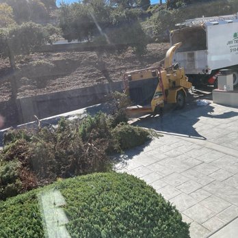 JMV Tree Service - Tree Services Near Me - Hayward, California
