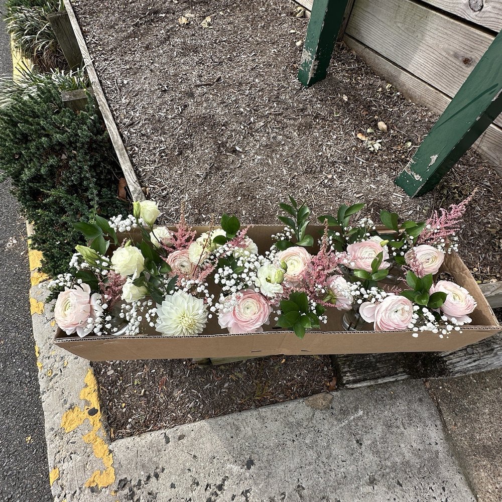 Potomac Floral Wholesale - Florists Near Me - Silver Spring, Maryland