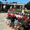 Carlmont Village Shopping Center gift card