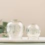 Photo of Willow Tree Acupuncture & Wellness 