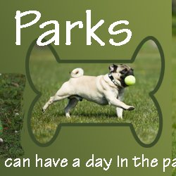 South Summit - Gated doggie park