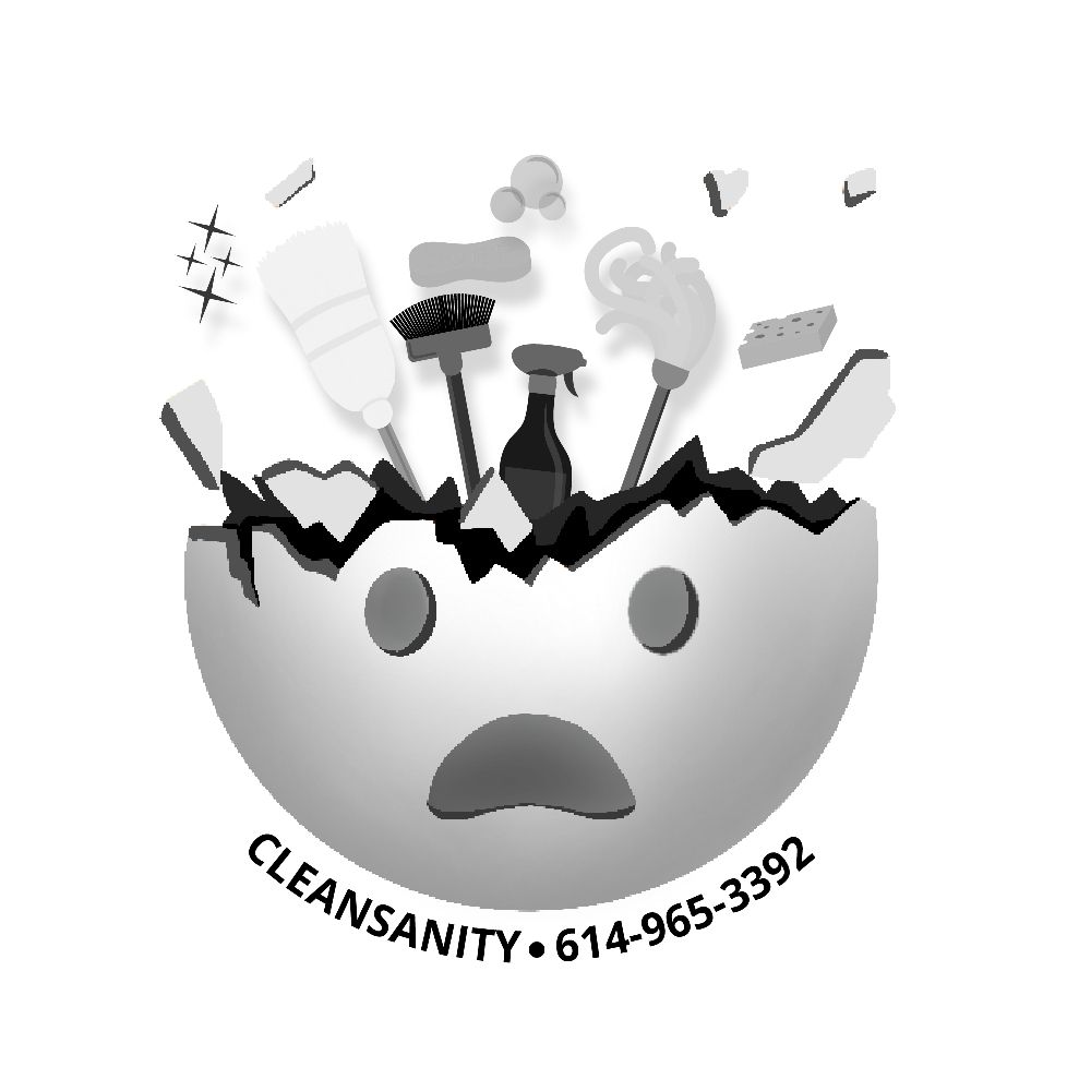 CLEANSANITY 27 Photos Reynoldsburg, Ohio Home Cleaning Phone