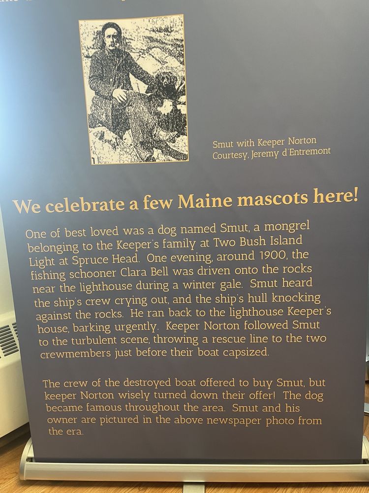 Museum Of Maritime Pets