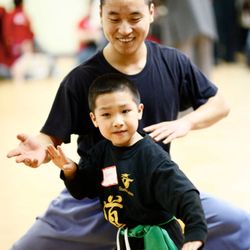 Kung Fu Universal