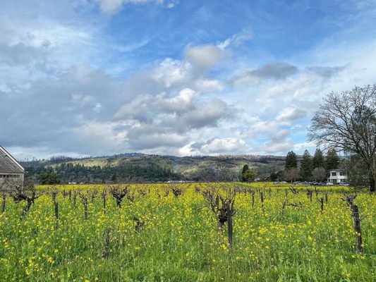 Robert Louis Stevenson Museum by null