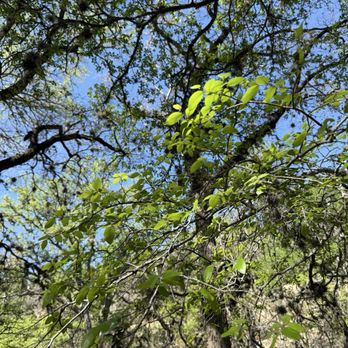 OP Schnabel Park - Parks Near Me - San Antonio, Texas OP Schnabel Park - Parks Near Me - San Antonio, Texas