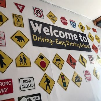 Driving easy driving school - Driving Schools Near Me - Bronx, New York