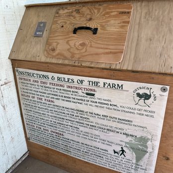 Ostrichland USA - Attraction Farms Near Me - Solvang, California Ostrichland USA - Attraction Farms Near Me - Solvang, California