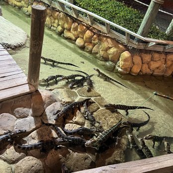 Congo River Golf - Mini Golf Near Me - Clearwater, Florida