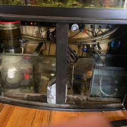 Worlds Under Water - 3 tanks below