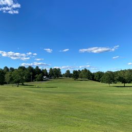 a green field with trees in the background
