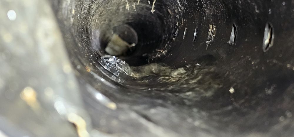 Slide of Clog Wizard Nepa