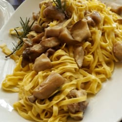 Donchisciotte Campi