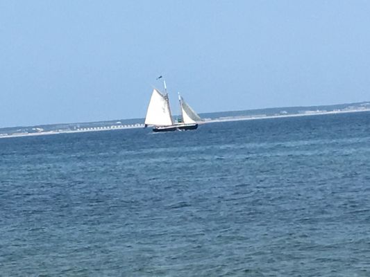 Long Point Beach by null