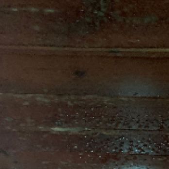 Moore's Remodeling & General Contracting - The ceiling is now blistering with mold and the spores are so thick in the air that everything I own is  contaminated - General Contractors Near Me - Whites Creek, Tennessee