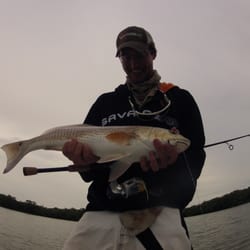 Bonita Springs Fishing