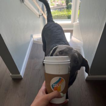 Bound Coffee Company - Coffee - Coffee & Tea Near Me - Oceanside, California Bound Coffee Company - Coffee - Coffee & Tea Near Me - Oceanside, California