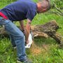 Nogood Pickle’s Tree Service