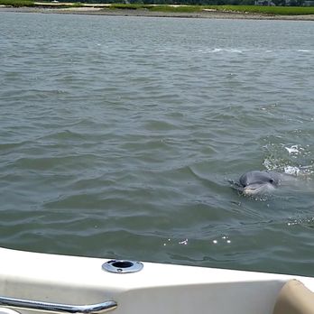 Hilton Head Dolphin Tours - Sidekick Charlie - Boat Charters Near Me - Hilton Head, South Carolina Hilton Head Dolphin Tours - Sidekick Charlie - Boat Charters Near Me - Hilton Head, South Carolina