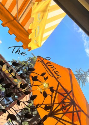 The Lemon Tree by null