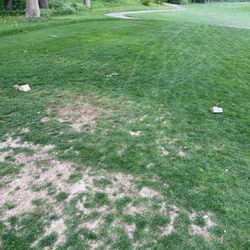 Tee box