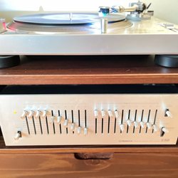 Empty the Nest - Stereo vintage