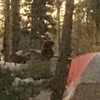 Eagle Point Campground - Bears do frequent this campground. - Campgrounds Near Me - South Lake Tahoe, California Eagle Point Campground - Bears do frequent this campground. - Campgrounds Near Me - South Lake Tahoe, California