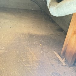 All Phase Junk Removal - Clean crawl space