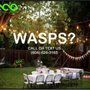 Photo of Eco Pest Solutions