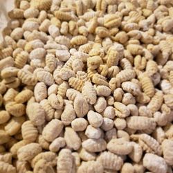 Gnocchi